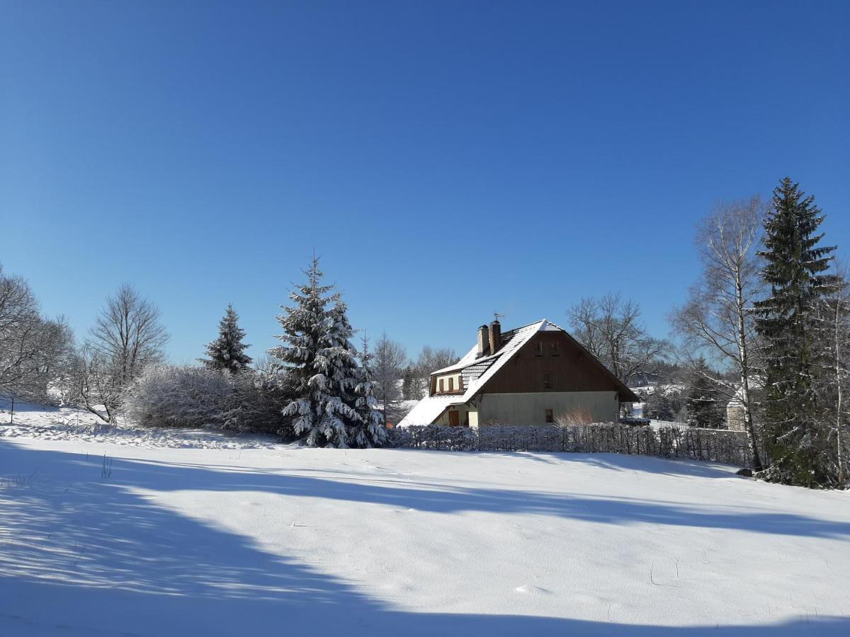 Penzion Sehnoutkovi Bedřichov Exterior foto