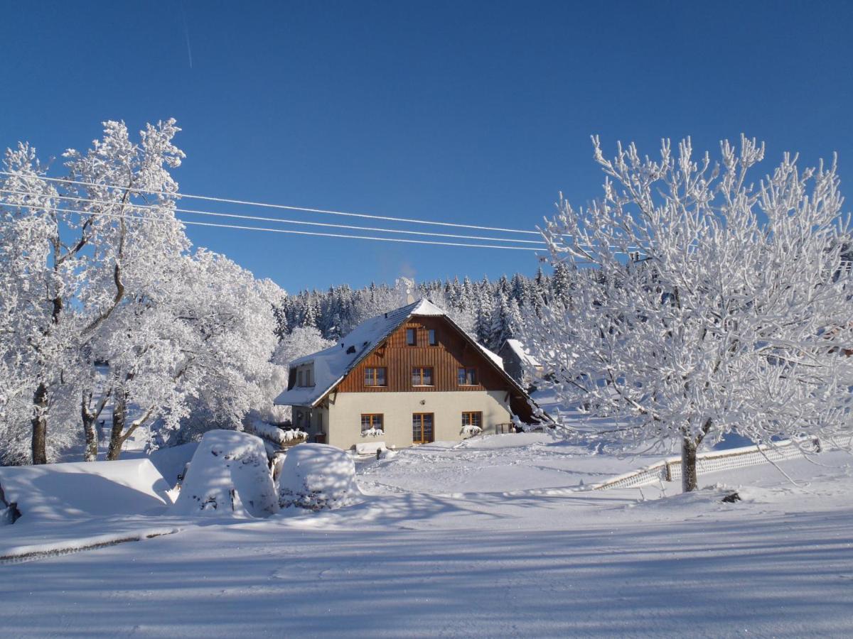 Penzion Sehnoutkovi Bedřichov Exterior foto